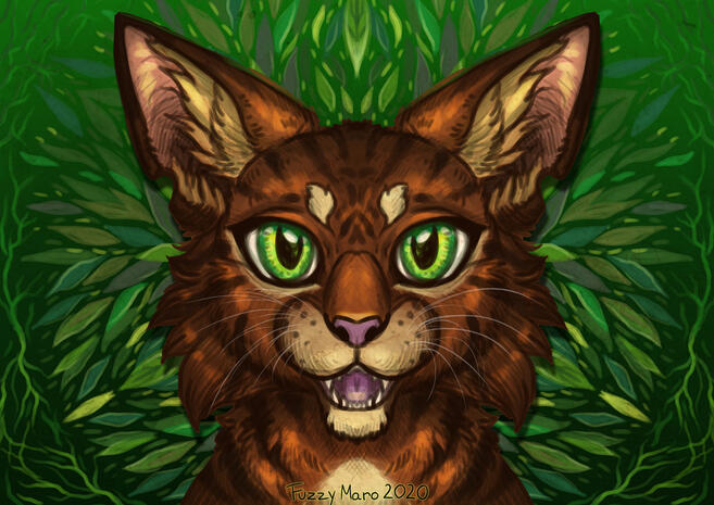 Green eyed cat