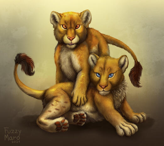 Lion cubs