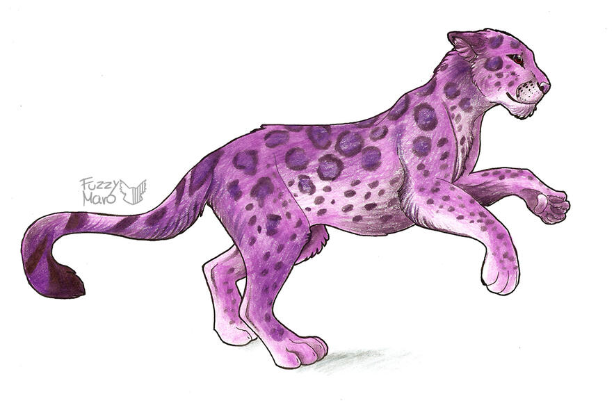 This one is pretty old