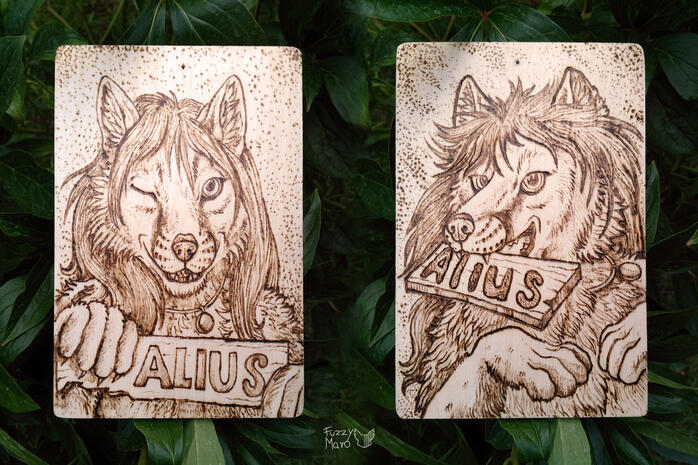 Alius- 2 sided badges